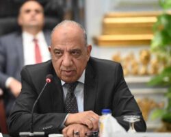 وزير الكهرباء