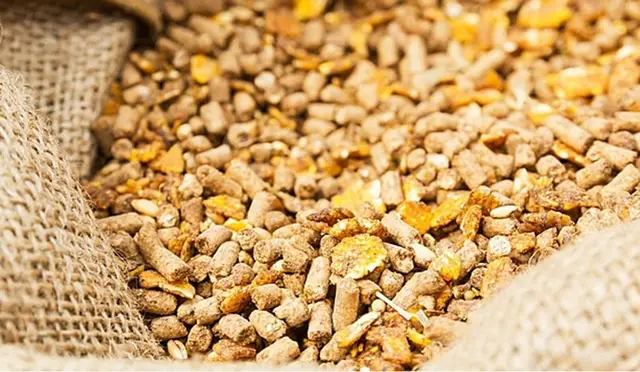أسعار الأعلاف اليوم